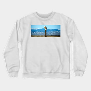 Ferruginous Hawk Crewneck Sweatshirt